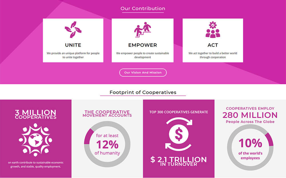 Custom responsive infographics designed for Sayas Cooperative